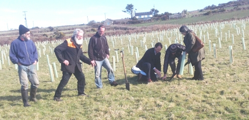 Andrew George MP Planting a tree